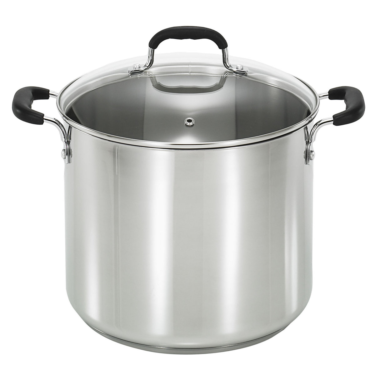 T-fal Stainless Steel 12 qt. Stockpot with lid